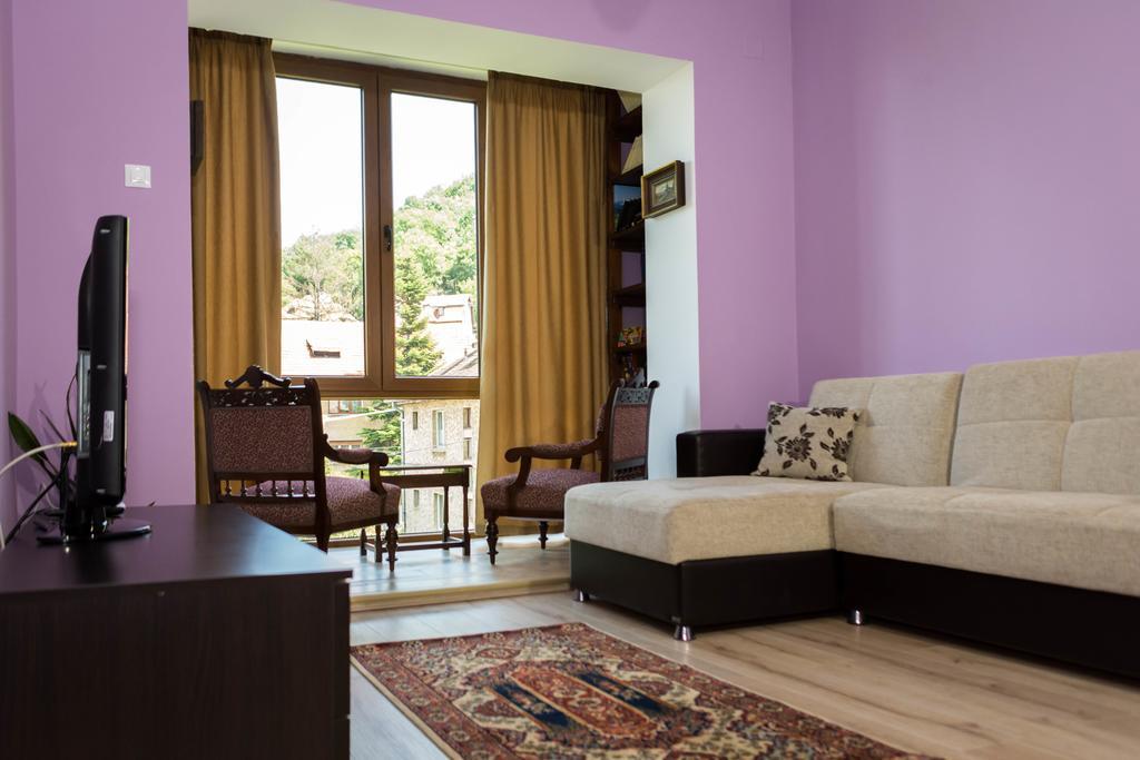 Chic Apartment Braşov Dış mekan fotoğraf